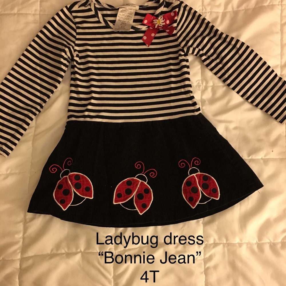 Ladybug 4T dress